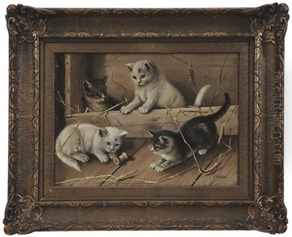 Kittens Playing - view 1