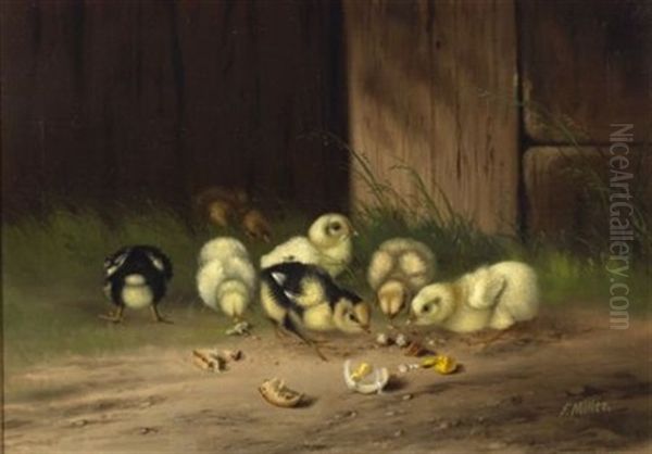 Chicks - view 1