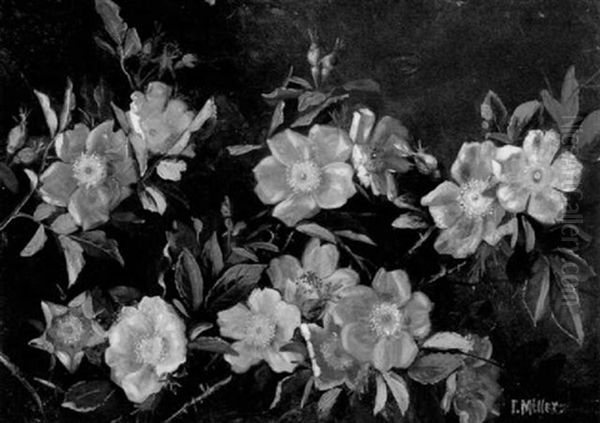 Beach Roses - view 1