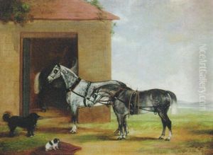 Two Dapple Grey Carriage Horses With Dogs Outside A Stable Two Dapple Grey Carriage Horses With Dogs Outside A Stable
