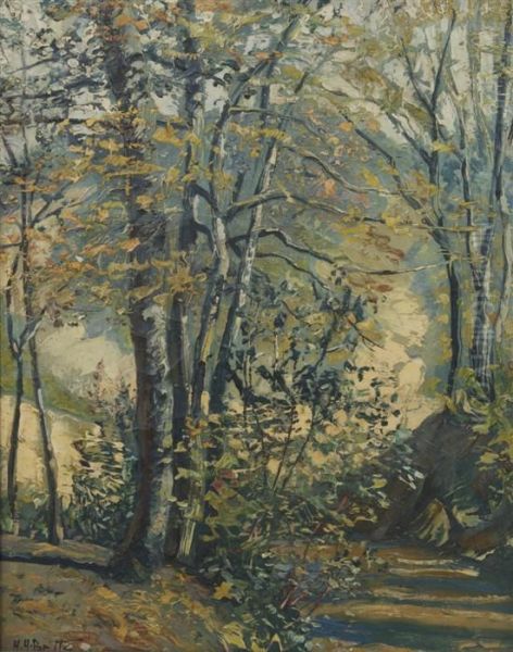 Forest Scene - view 1