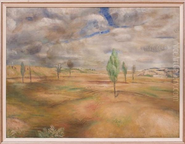 End Of The Drought - view 1