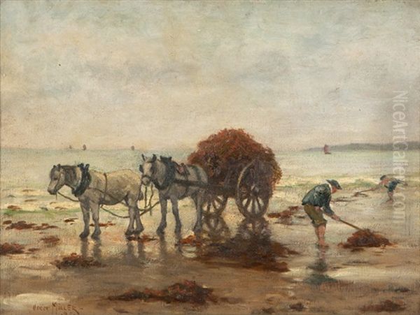 Kelp Gatherers, Likely Holland - view 1