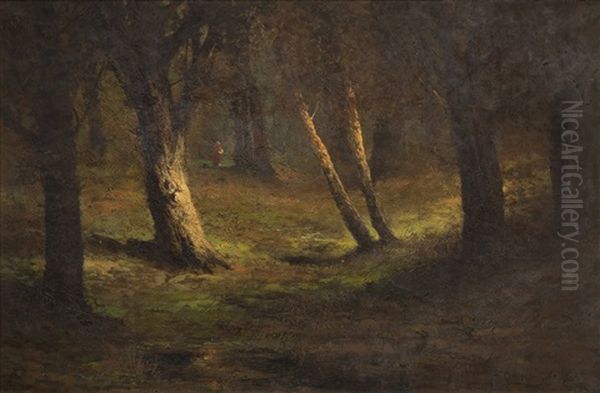 Forest Scene With A Figure In The Distance - view 1