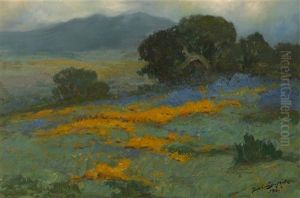 Poppies And Lupine