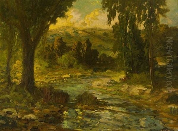 Stream Through A Spring Landscape - view 1