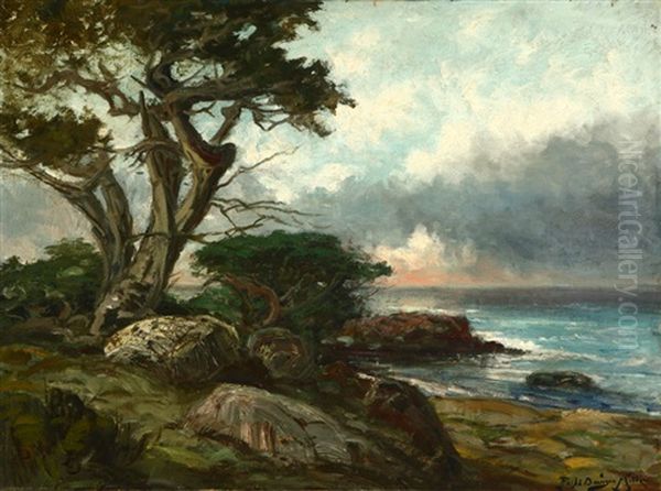Cypress Trees On The Carmel Coast - view 1