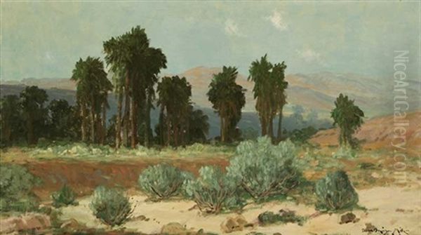 Desert Landscape - view 1