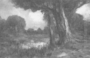 The North Woods, Sonoma County, California by Ralph Davidson Miller