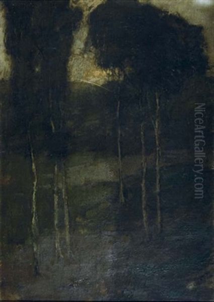 Forest Landscape - view 1