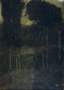 Forest Landscape Forest Landscape