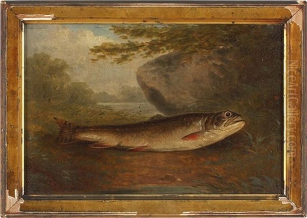 A Trout - view 1