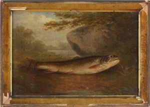 A Trout A Trout