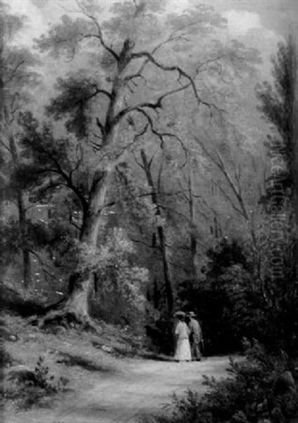 A Path Through The Woods - view 1