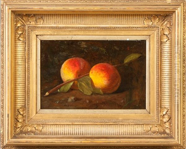 Still Life Of Peaches - view 1