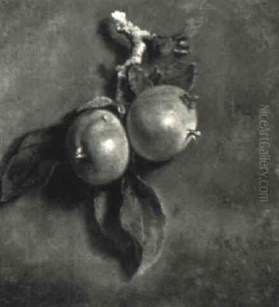 Still Life With Apples And A Bee - view 1