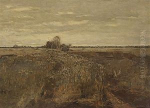 Moorlandschaft Moorlandschaft