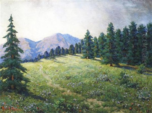 Mountain Meadow - view 1
