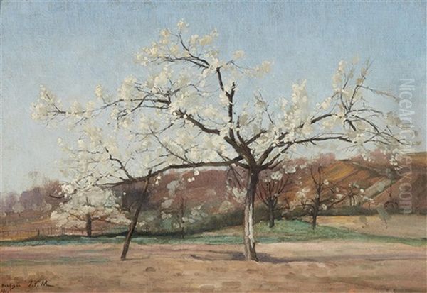 A Flowering Apple Tree - view 1