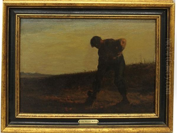 Man In Field - view 1