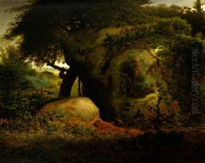Rabbits In The Gorges D'apremont, Sunrise