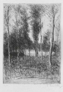 Le Soir Dans Les Peupliers. by Jacques Beurdeley