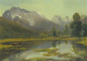 Blick In Das Ramsau-tal