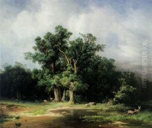 Prachtvolle Sommerliche Landschaft Mit Eichenwald Im Spaten Sonnigen Licht Prachtvolle Sommerliche Landschaft Mit Eichenwald Im Spaten Sonnigen Licht
