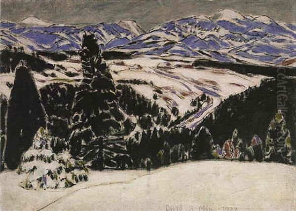 Black Spruce - view 1