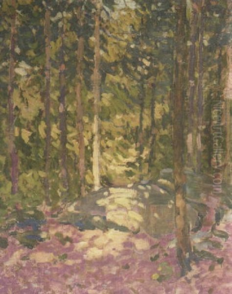Landscape - view 1