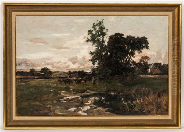 Coos In Pasture - view 1