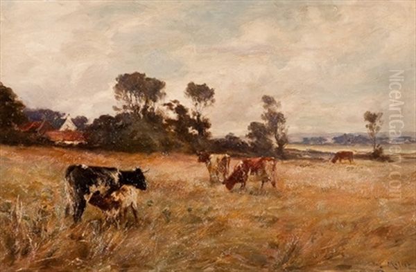 Cattle Grazing Near Cambuskenneth - view 1