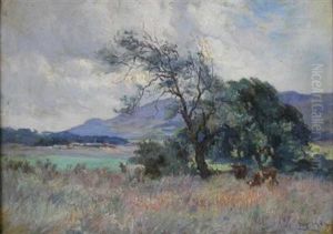 Quiet Grazing, Perthshire