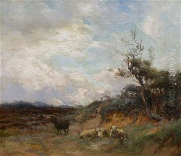 Cattle Grazing, Summer Rest - view 1