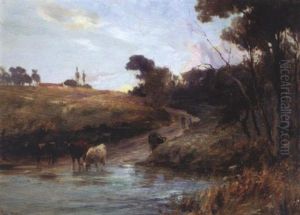 Cattle Watering