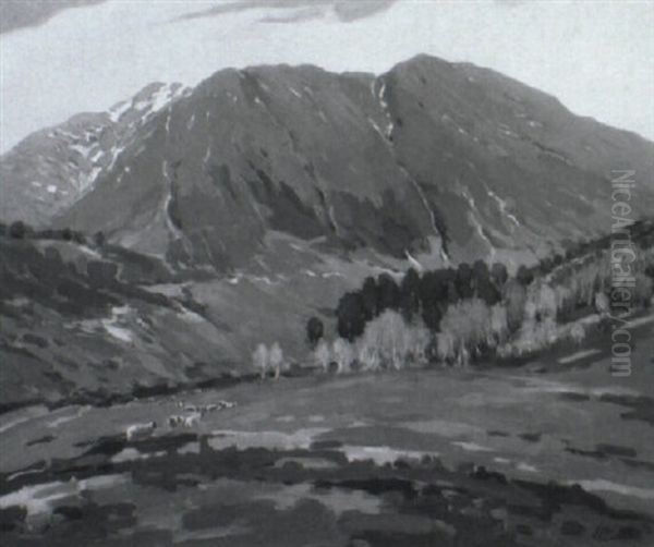 Scottish Highland Pasture - view 1