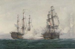 The Two Protaganists by Irwin John David Bevan