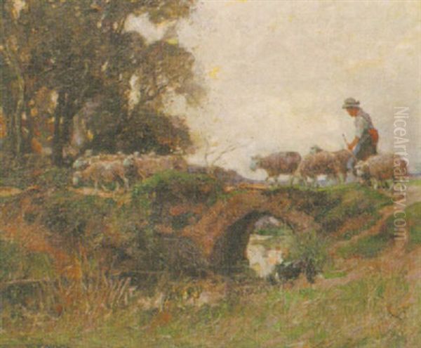 Herding Sheep - view 1