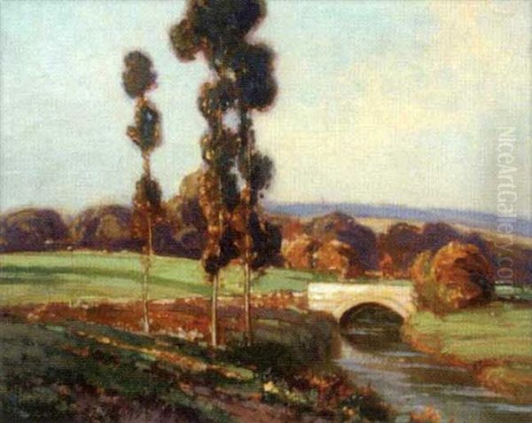 Poplars - view 1
