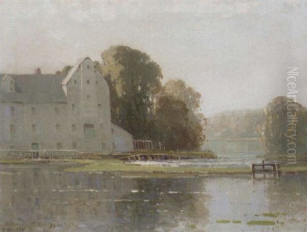 Bickton Mill, Hampshire Avon - view 1