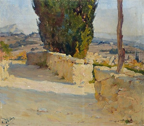 Sudfranzosische Landschaft - view 1