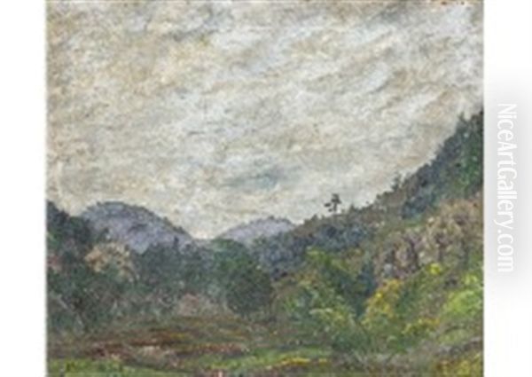 Landscape - view 1