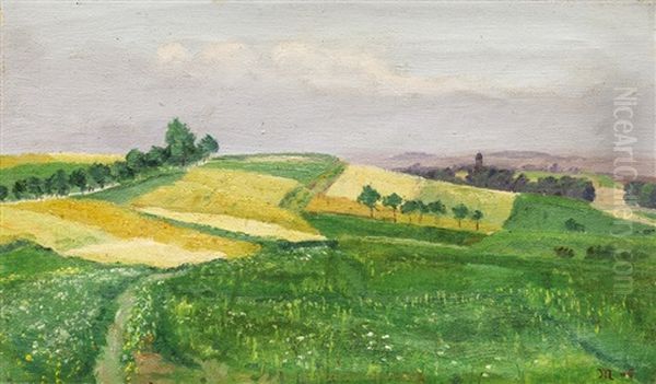 Letni Krajina - view 1