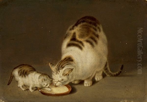 Katzenmutter Und Ihr Junges Beim Milchtrinken - view 1