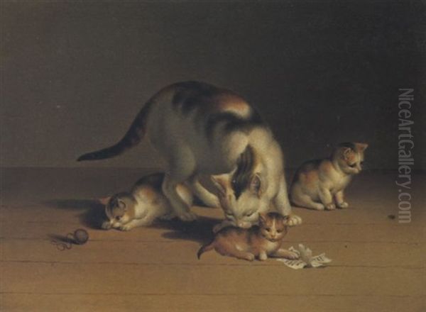 Katze Mit Ihren Jungen - view 1