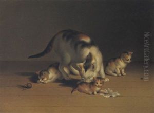 Katze Mit Ihren Jungen