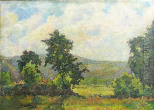 Landsacpe - view 1