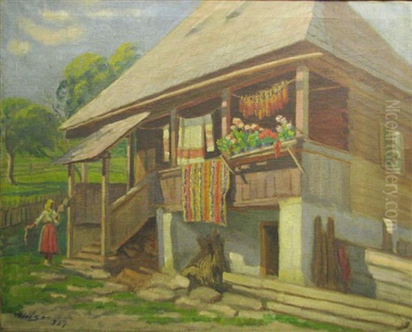 House In Banat - view 1