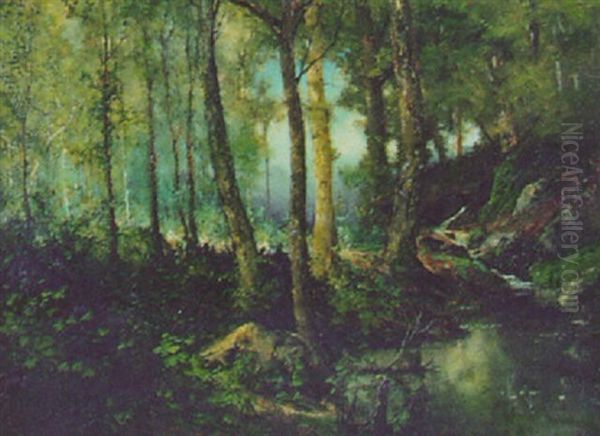 Wooded Landscape With Running Stream - view 1