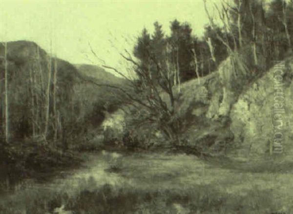 Landscape - view 1